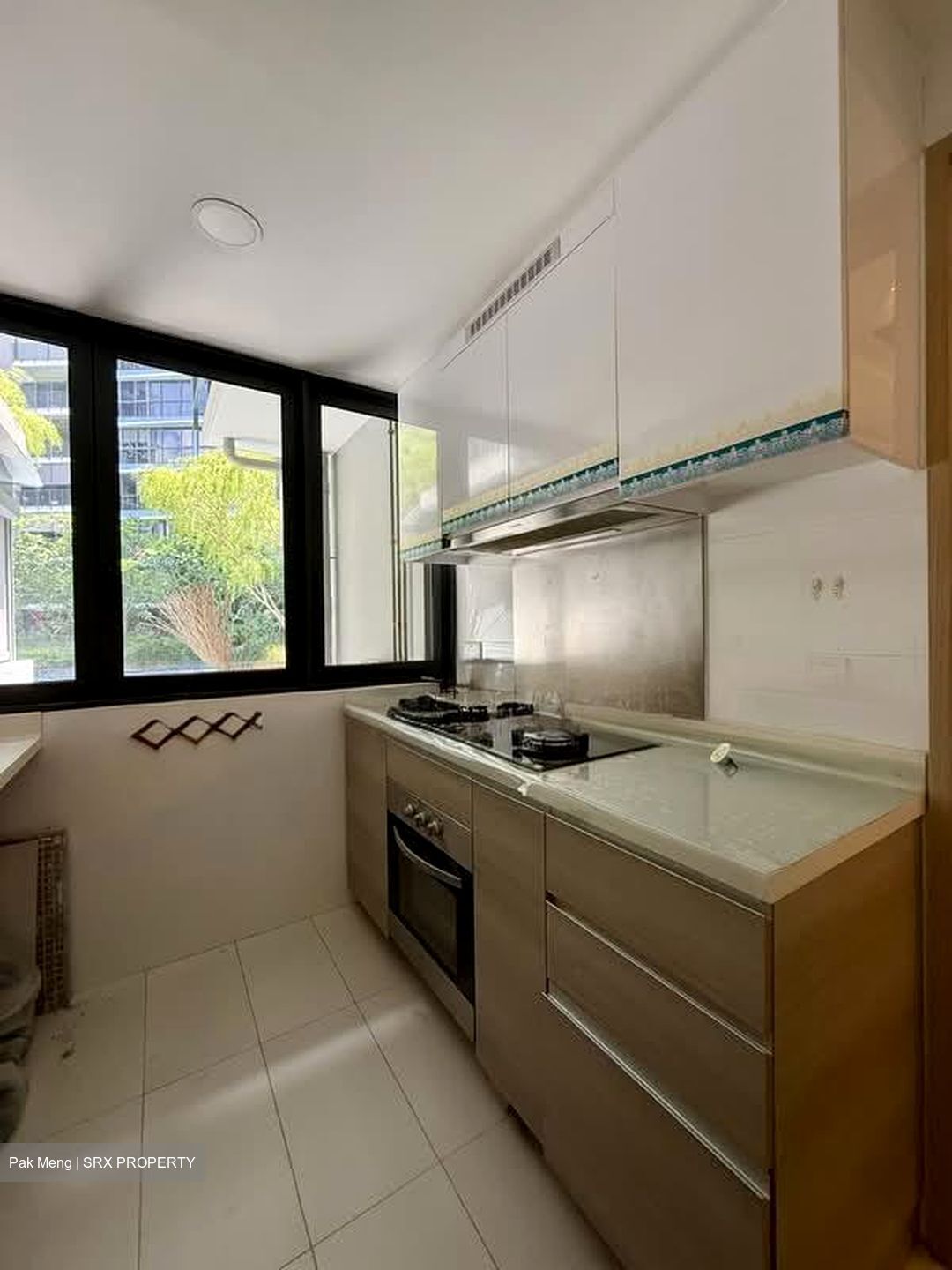 Boathouse Residences (D19), Condominium #551934331